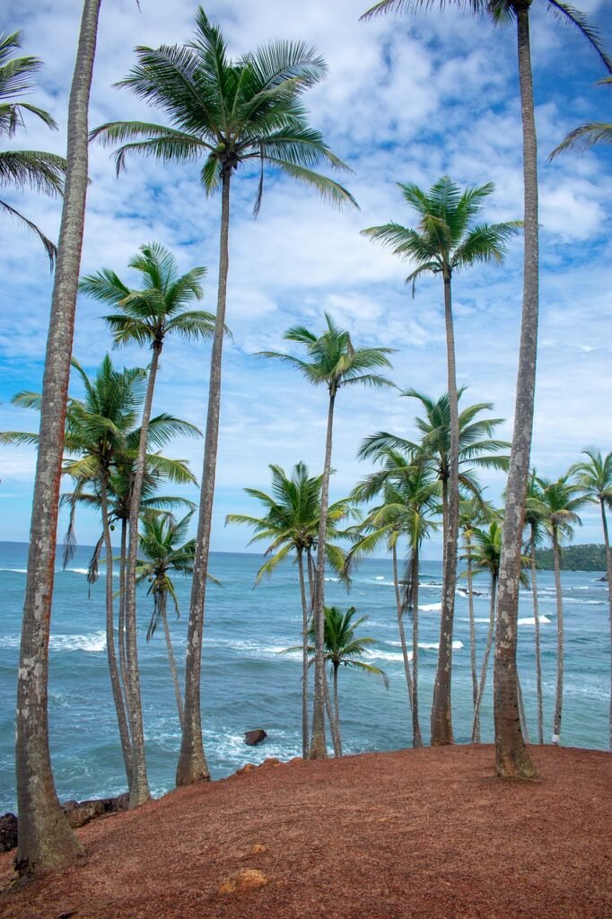 Book Sri Lanka Holidays