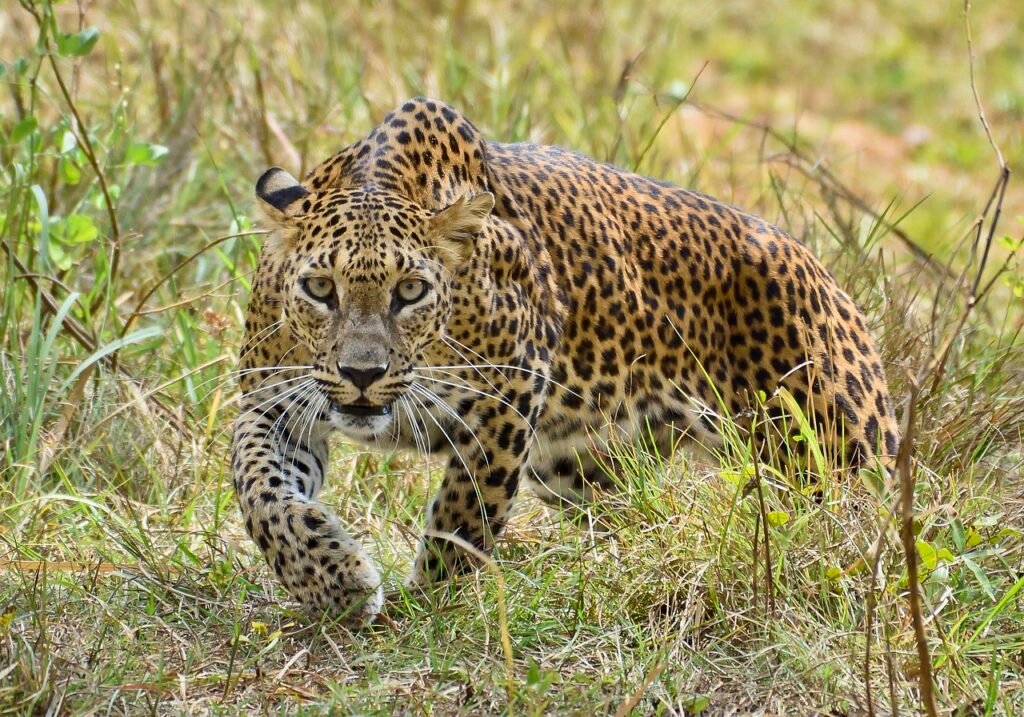 Book Sri Lanka Holidays